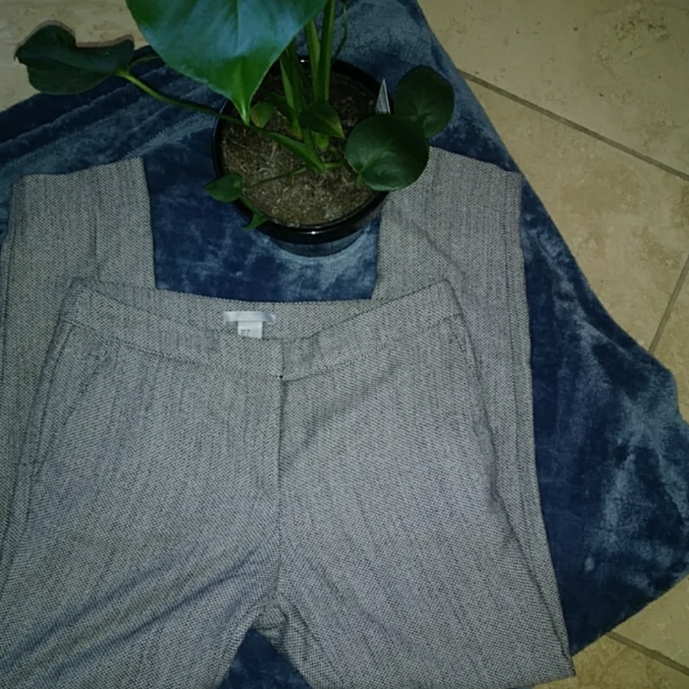 Dress pants